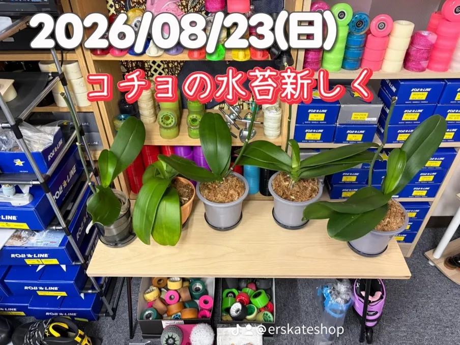 こんにちは！ 最近は、ローラースケートよりも、観葉植物の生育...