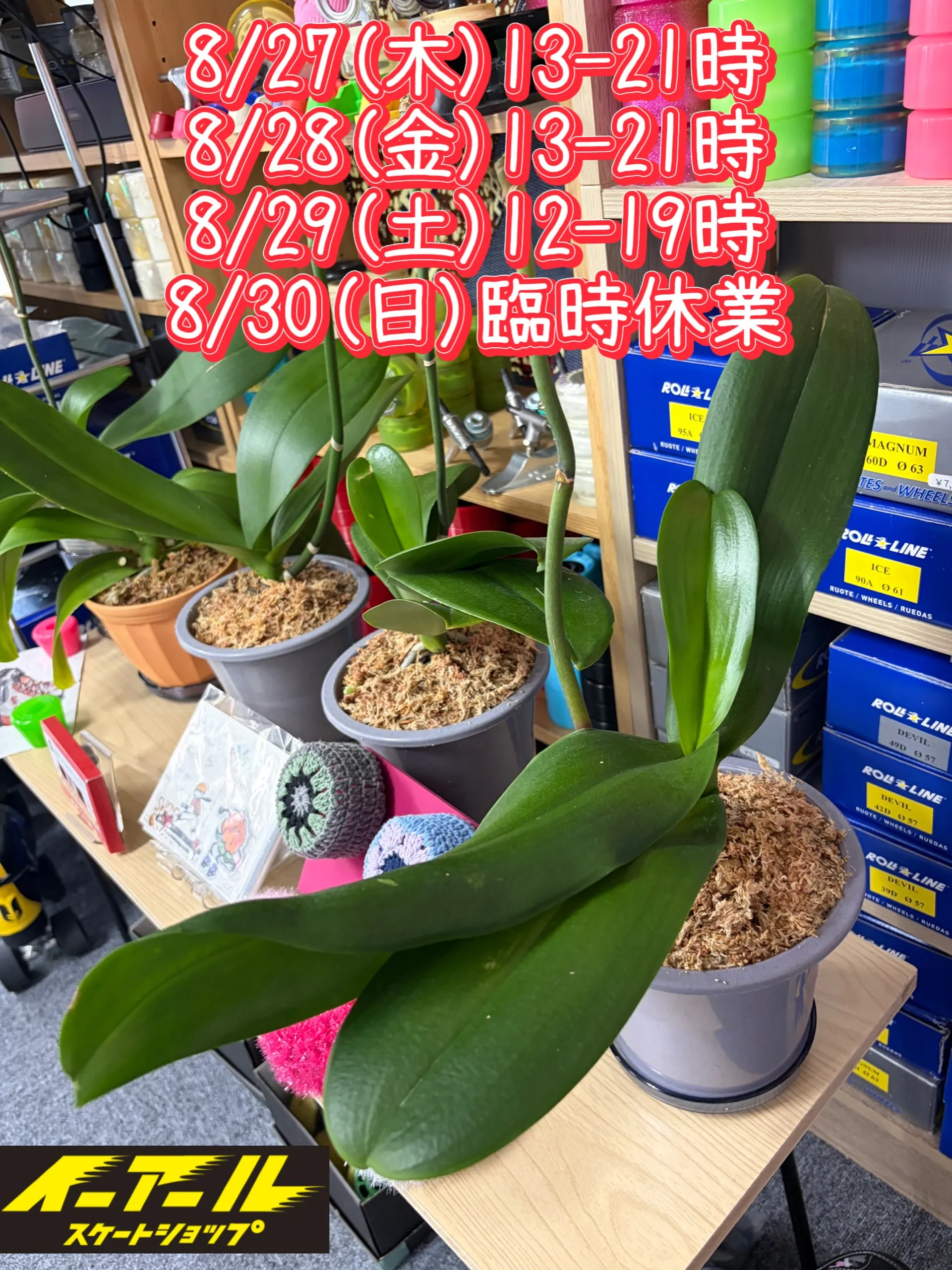 北陸の豪雨で被災された地域の皆様 お見舞い申し上げます。